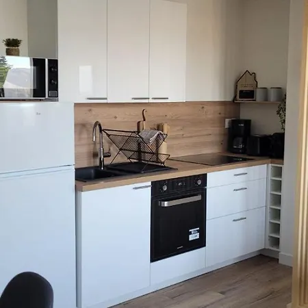 Διαμέρισμα Vue Degagee Avec Parking Prive & Balcon Ροσφόρ